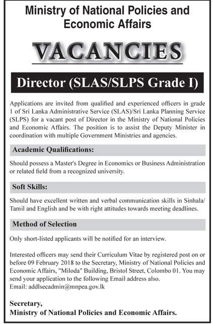 Director - Ministry of National Policies & Economics Affairs